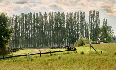 Parcela en venta en OSORNO