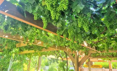 Casa en venta en ISLA DE MAIPO