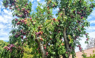 Casa en venta en ISLA DE MAIPO