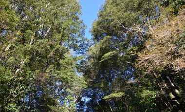 Parcela en venta en PUERTO MONTT