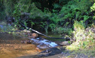 Parcela en venta en PUERTO MONTT