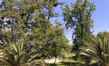 Casa en Arriendo en Francisco Bilbao, La Reina