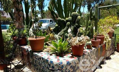 Sitio en Venta en Copayapu sector Callejones.