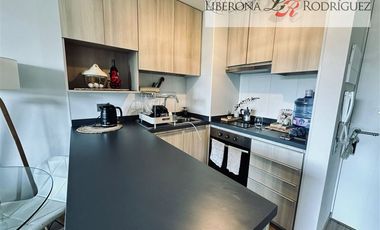 Departamento en Arriendo en Departamento en Isla Picton