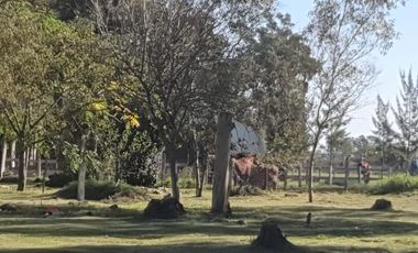 Venta en bloque Terrenos - 20x60mts - 1200mts2 totales  - Barrio Brisas del Sud