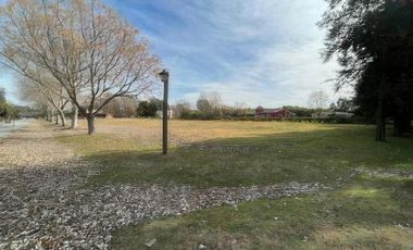 Terreno en venta - 850mts2 - El Molino, Pavón, Exaltación de la Cruz