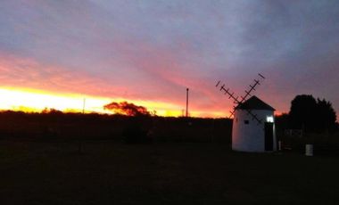 Terreno en venta - 850mts2 - El Molino, Pavón, Exaltación de la Cruz