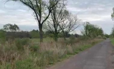 Terreno en venta - 850mts2 - El Molino, Pavón, Exaltación de la Cruz