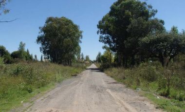 Terreno en venta - 850mts2 - El Molino, Pavón, Exaltación de la Cruz