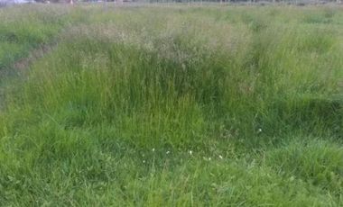 Terrenos en venta - 1264mts2 - Mar del Tuyu