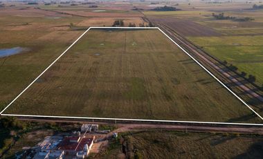 Chacra de 16 hectáreas en Navarro, Bs As