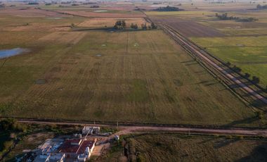 Chacra de 16 hectáreas en Navarro, Bs As