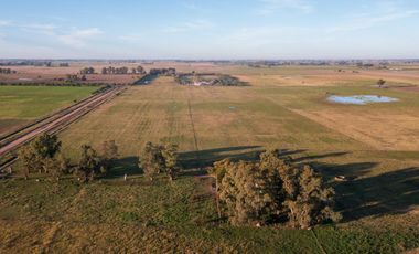 Chacra de 16 hectáreas en Navarro, Bs As