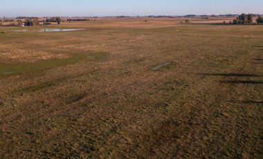 Chacra de 16 hectáreas en Navarro, Bs As