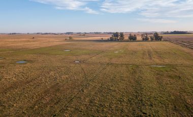 Chacra de 16 hectáreas en Navarro, Bs As