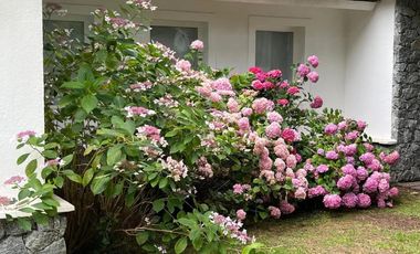 Casa en venta - 4 dormitorios 3 baños - 1000mts2 - Carilo