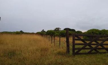 Terreno en venta - 383mts2 - Mar Del Sur