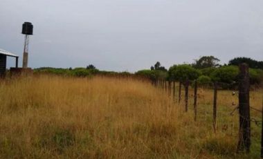 Terreno en venta - 383mts2 - Mar Del Sur