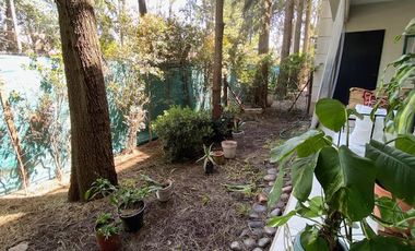 Departamento 2 ambientes con patio. VENTA CON RENTA