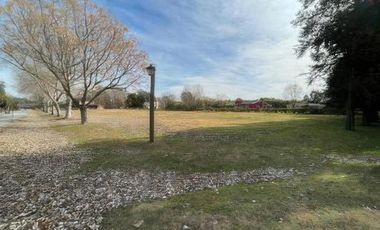 Terrenos en venta - 850mts2 - El Molino, Pavón