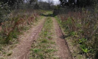 Terrenos en venta - 850mts2 - El Molino, Pavón