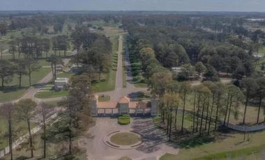 Terrenos en venta - 850mts2 - El Molino, Pavón