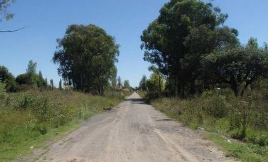 Terrenos en venta - 850mts2 - El Molino, Pavón