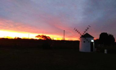 Terrenos en venta - 850mts2 - El Molino, Pavón