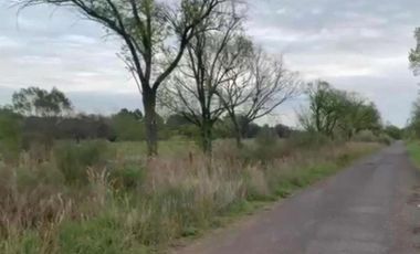 Terrenos en venta - 850mts2 - El Molino, Pavón