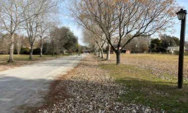 Terrenos en venta - 850mts2 - El Molino, Pavón