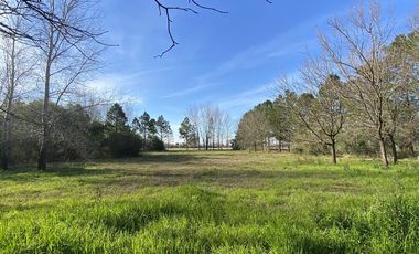 venta, Terreno, Prosperity Land, barrio cerrado, Roldan, arbolado, natural