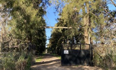 venta, Terreno, Prosperity Land, barrio cerrado, Roldan, arbolado, natural