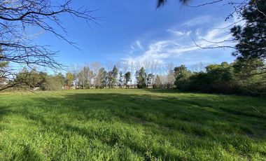 venta, Terreno, Prosperity Land, barrio cerrado, Roldan, arbolado, natural