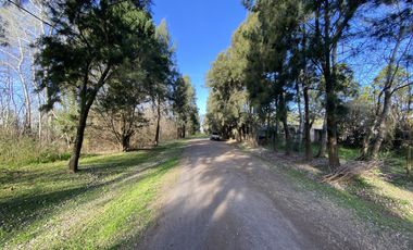 venta, Terreno, Prosperity Land, barrio cerrado, Roldan, arbolado, natural