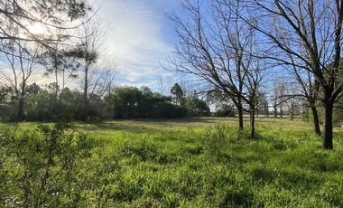 venta, Terreno, Prosperity Land, barrio cerrado, Roldan, arbolado, natural