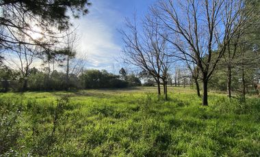 venta, Terreno, Prosperity Land, barrio cerrado, Roldan, arbolado, natural