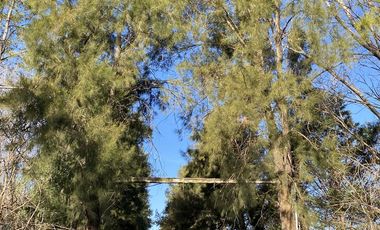 venta, Terreno, Prosperity Land, barrio cerrado, Roldan, arbolado, natural