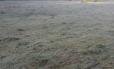 Casa en venta - 3 dormitorios 2 baños - 150mts2 - Las Toninas