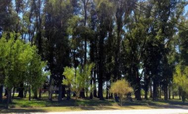 Terreno en venta - 2300mts2 - Campos de Roca II, Coronel Brandsen