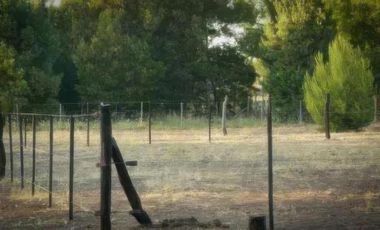 Terrenos en venta - 395mts2 - Necochea