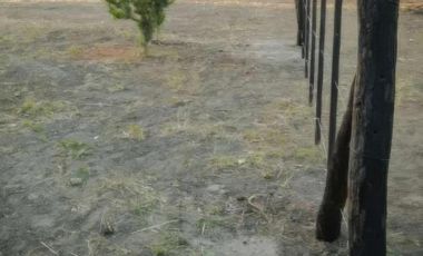 Terrenos en venta - 395mts2 - Necochea