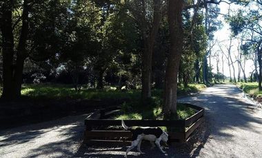 Terrenos venta - 745mts2 totales  - Barrio Brisas del Sud
