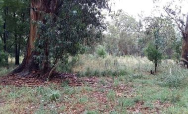 Terreno en venta - 217mts2 - Miramar