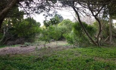 Terreno en venta - 1245mts2 - Las Gaviotas, Villa Gesell
