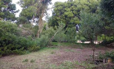 Terreno en venta - 1245mts2 - Las Gaviotas, Villa Gesell