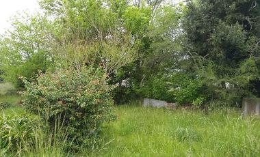 Casa venta - 2 dormitorios 1 baño - 1200mts2 totales - Coronel Vidal