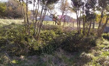 Casa venta - 2 dormitorios 1 baño - 1200mts2 totales - Coronel Vidal