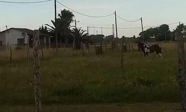 Terreno venta - 704mts2 totales - Mar Del Tuyu