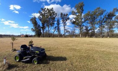 Terreno venta - 11x42mts - 462mts2 totales - Navarro