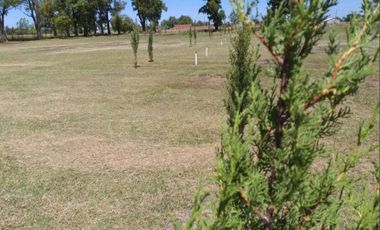 Terreno venta - 11x42mts - 462mts2 totales - Navarro